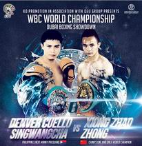 �ܳ���Vs����