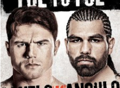 ��������Vs������