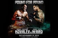 �����з�Vs�ֵ�