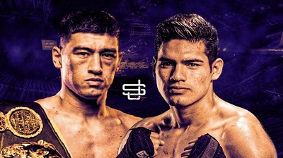 ���ֶ�Vs��������