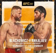 UFC282ǰհάVSҮھս