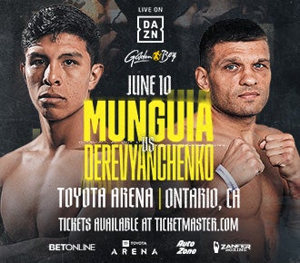 �ɹ���Vs���������