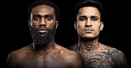 ����˹Vsά��