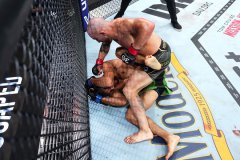 UFC290īʹʧھͷ