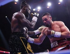 BOXREC�������ۺ�����ǰ20����