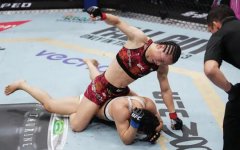 ��ΰ���������������UFC����ھ�