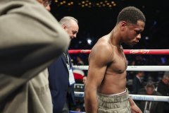WBC�������140����ʽȭ��������Ϣȭ��