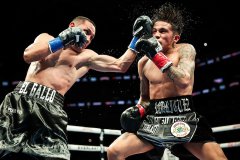 P4P�����������޵��������������