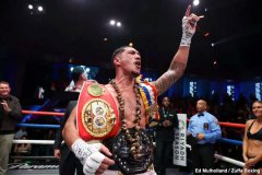 IBF��ʽ����ŷ��̩�ǽ��������ѹ黹�Ʋ÷�