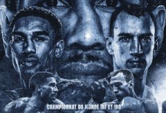 ������Ƶ������������˹Vs��ά��-�����ǽ�