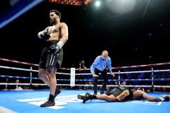 WBO����ֱ���ٲöŲ��ߺ������귨������